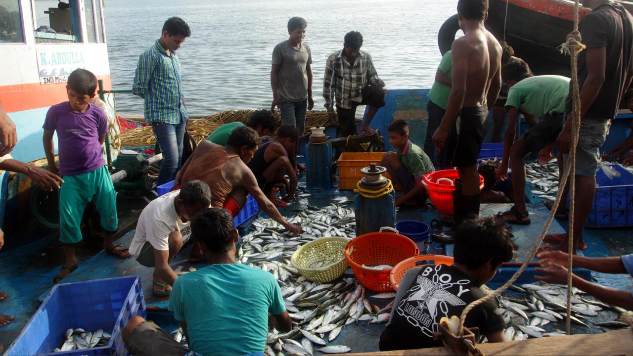 Fishing Industry - Ratnagiri Tourism
